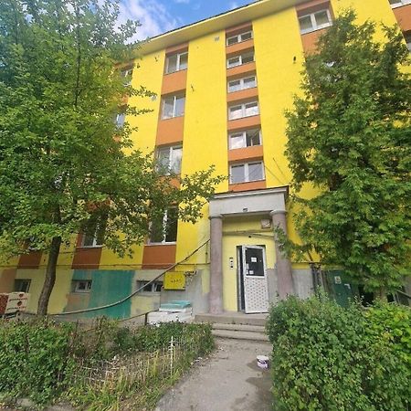 Petroşani Mural Art Apartament מראה חיצוני תמונה