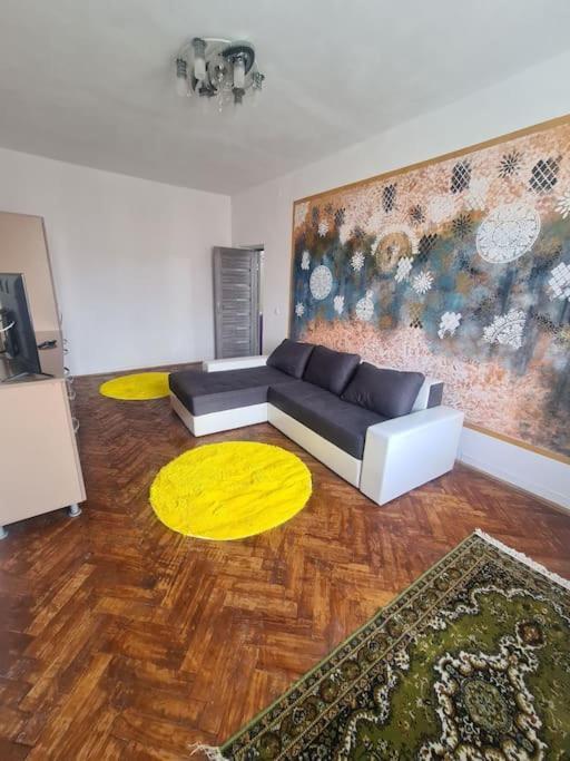 Petroşani Mural Art Apartament מראה חיצוני תמונה