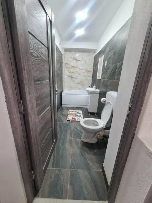 Petroşani Mural Art Apartament מראה חיצוני תמונה