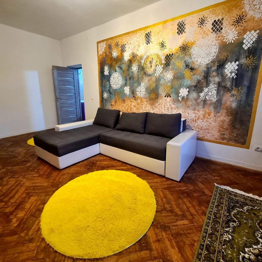 Petroşani Mural Art Apartament מראה חיצוני תמונה