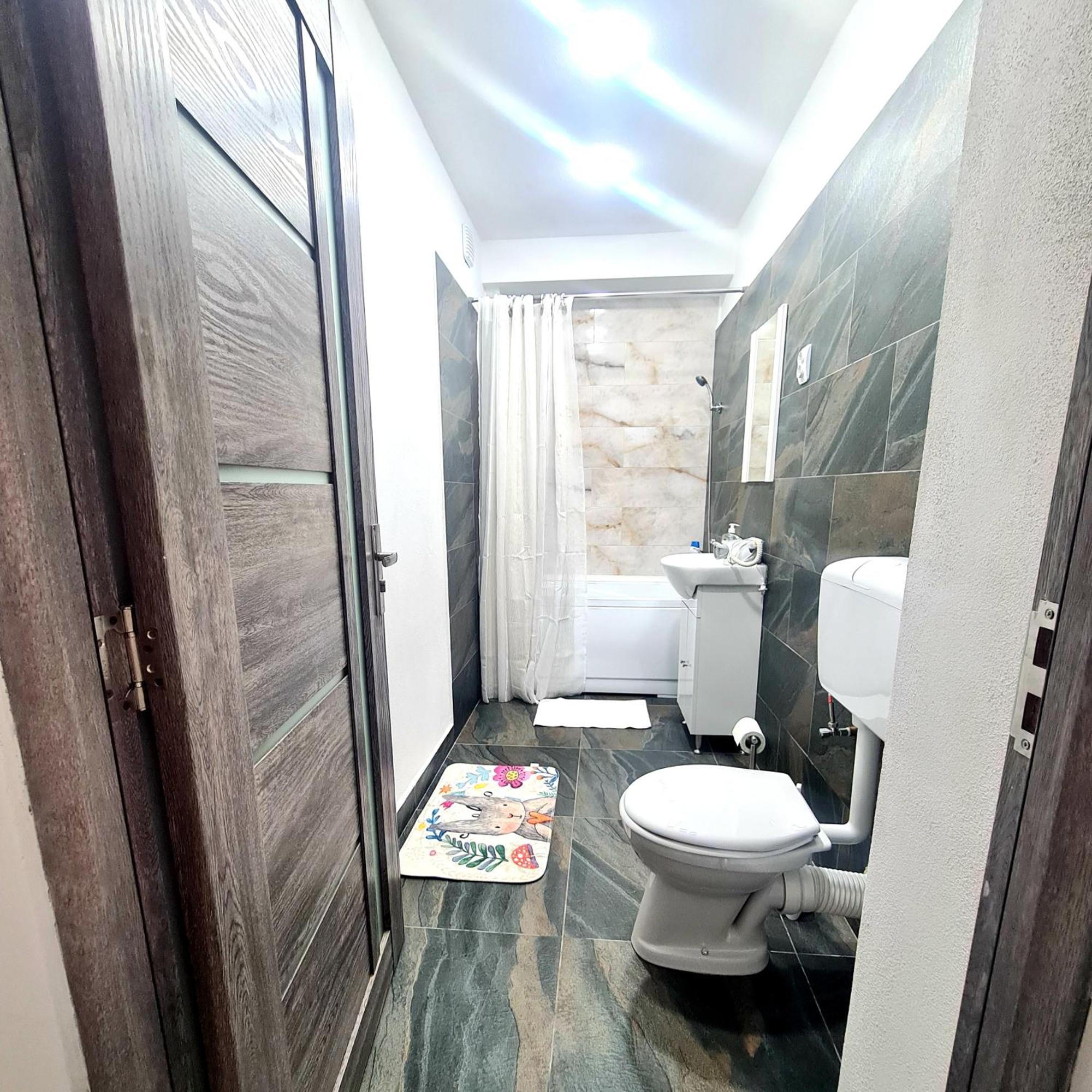 Petroşani Mural Art Apartament מראה חיצוני תמונה